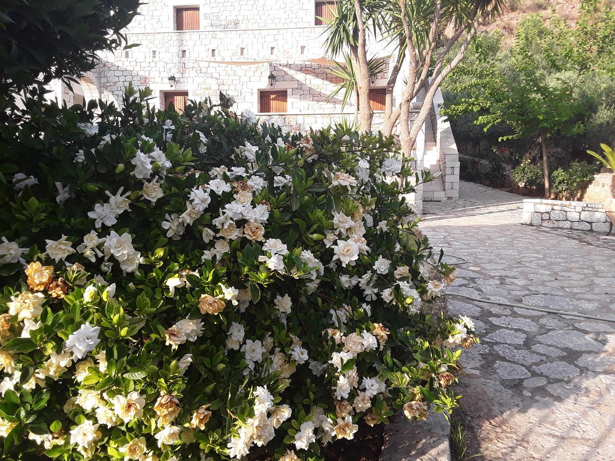 Foivos 2 Hotel